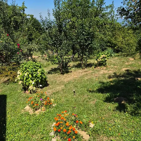 Aura Natura 2 *